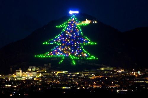 Cây thông Noel lớn nhất thế giới sắp được thắp sáng