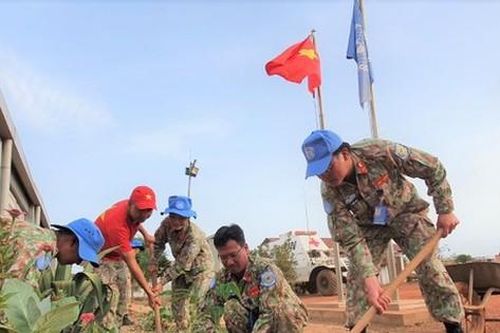 Hôm nay (22-11), khai mạc Đại hội Hội đồng Hòa bình thế giới tại Hà Nội