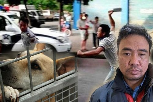 Chém bạn thân vì mặc cả tiền bán chó: Khi rượu tình thành rượu thù
