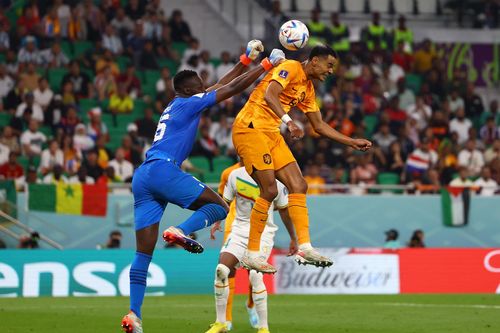 World Cup 2022: Tiền đạo Cody Gakpo - 'Thần tài' của tuyển Hà Lan