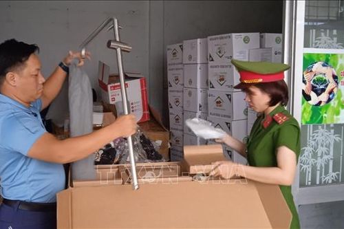 Đà Nẵng: Tạm giữ nhiều kiện hàng không có hóa đơn, chứng từ xuất xứ