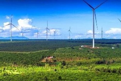 Gia Lai: Kiến nghị phát triển 135 dự án năng lượng tái tạo và lưới điện