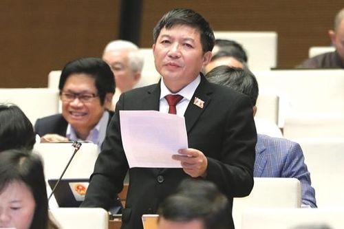 Đánh giá tác động, hỗ trợ kịp thời