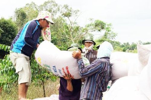 Nhập khẩu gạo tới 1 triệu tấn/năm, có nên lập 'barie'?