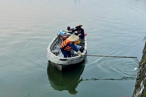 Hà Nội đánh bắt cá để giảm mật độ trong hồ Tây