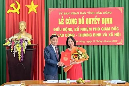 Mới được bổ nhiệm, phó giám đốc sở xin nghỉ hưu