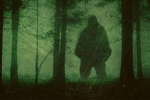 Tuyên bố 'sốc': Quái vật Bigfoot có thật, đang lang thang ở Bắc Mỹ?