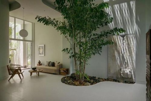 Thiết kế nhà phố với những hòn đá độc đáo