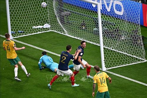 WORLD CUP 2022: Bảng D - Gà trống Gaulois gáy vang trên sân Al Janoub