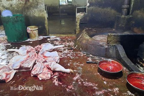 Xử phạt 14 triệu đồng đối với 2 cơ sở giết mổ 'heo lậu'
