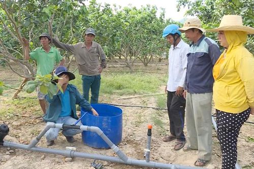 Đẩy mạnh phổ biến đề tài khoa học công nghệ