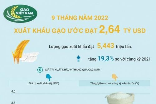 Sửa nghị định kinh doanh xuất khẩu gạo, đảm bảo an ninh lương thực