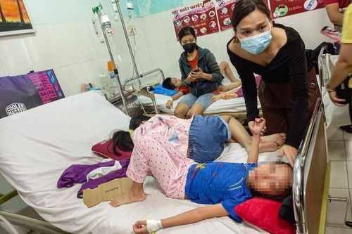 Vi khuẩn gây ngộ độc ở trường Ischool Nha Trang sống trong môi trường nào?