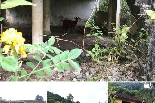 Tái định cư vắng bóng cư dân