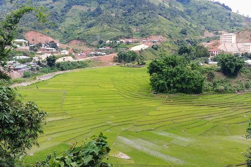 Quảng Nam: Hơn 11,5 tỷ đồng hỗ trợ vùng dân tộc thiểu số và miền núi