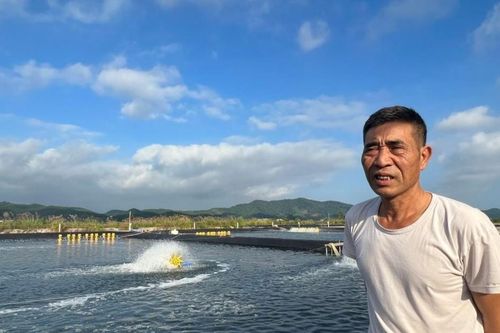 Quảng Ninh: Tiền tỷ trôi ra biển vì quên đóng cửa cống