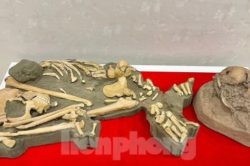 Tận thấy di cốt người tiền sử trong hang động núi lửa Đắk Nông