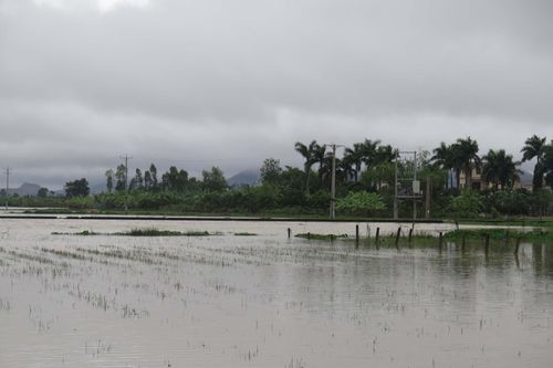 Nghệ An: Một người mất tích khi đi đánh cá ở đập tràn Thạch Tiền