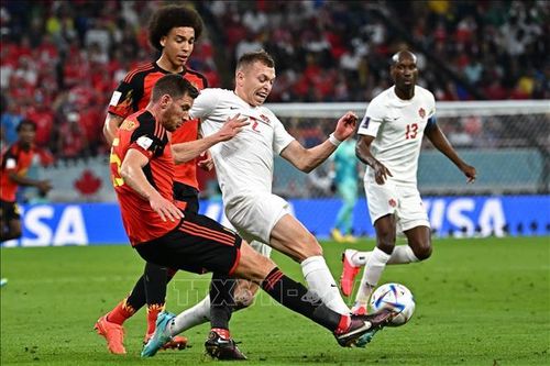 World Cup 2022: Bảng F - Bỉ nhọc nhằn vượt qua Canada