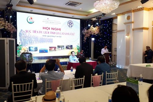 Hà Nội ' đồng hành' với Gia Lai thu hút khách du lịch