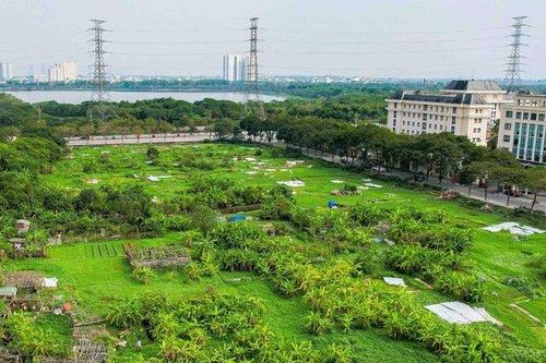 KĐT nghìn tỷ của liên danh HANHUD - LCG - INDOCOTECH thành nơi trồng rau, đổ rác