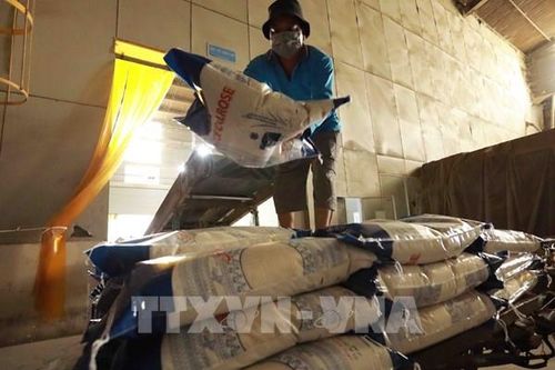 Indonesia sẽ nhập khẩu 500.000 tấn gạo