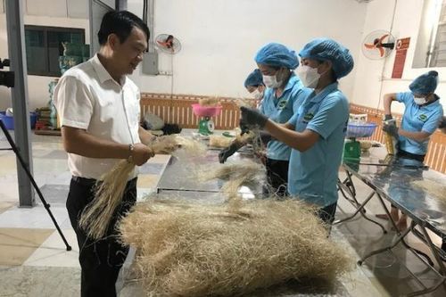 Tăng giá trị sản phẩm miến dong làng So nhờ sản xuất sạch