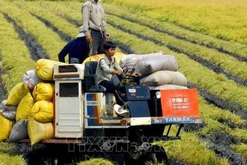 Yêu cầu các ngân hàng chưa dùng hết 'room' tín dụng đẩy nhanh giải ngân