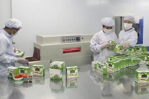 Ba Vì phát triển mô hình kinh tế trọng điểm thông qua HTX