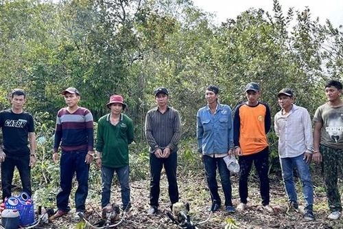 Liên tiếp bắt 2 vụ phá rừng ở Phú Quốc