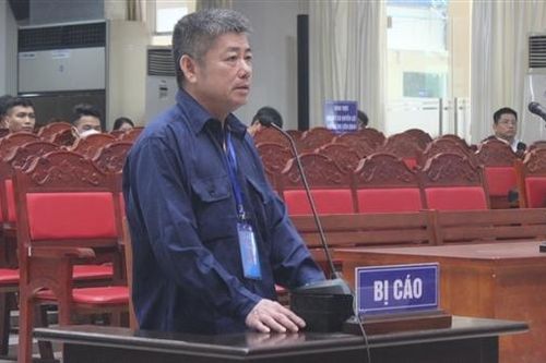 'Đại án' 200 triệu lít xăng lậu: 'Ông trùm' xin giảm nhẹ hình phạt cho người tình