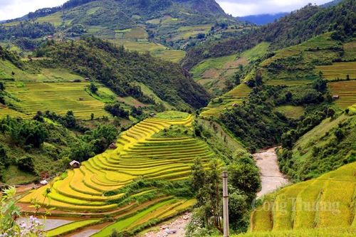 Khám phá ruộng bậc thang Mù Căng Chải