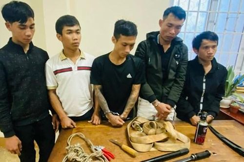 Đắk Lắk: Bắt đối tượng ngoại tỉnh thực hiện nhiều vụ trộm cắp trên địa bàn