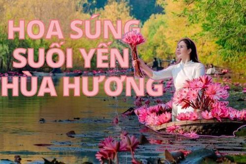 Đẹp nao lòng mùa hoa súng ở ngoại thành Hà Nội