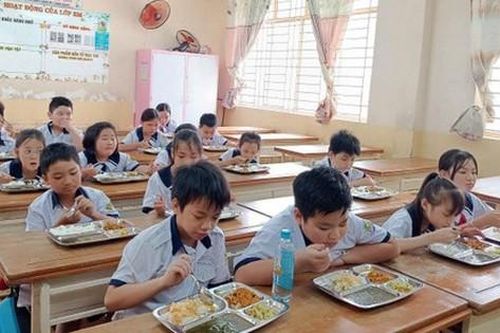 Rà soát việc đảm bảo an toàn thực phẩm tại các cơ sở giáo dục