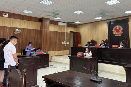 Thông đồng dìm giá đất, 2 nhân viên công ty đấu giá hầu tòa
