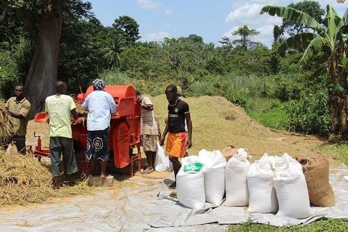 AfDB tài trợ 5,12 triệu USD cho chương trình lương thực của Liberia