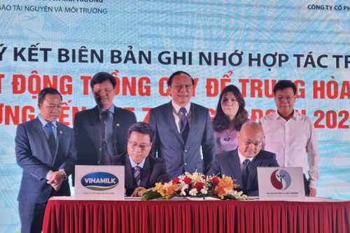 Hợp tác trồng cây để bảo vệ môi trường, nỗ lực thực hiện cam kết của Việt Nam tại COP26