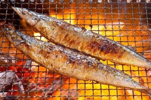 Loại cá người Nhật xem như 'vàng cho não' nhưng nhiều người không thích