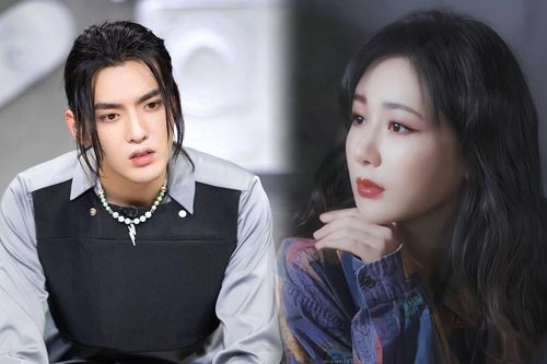 Dương Tử bỗng bị ghét lây chỉ vì từng hợp tác với Ngô Diệc Phàm