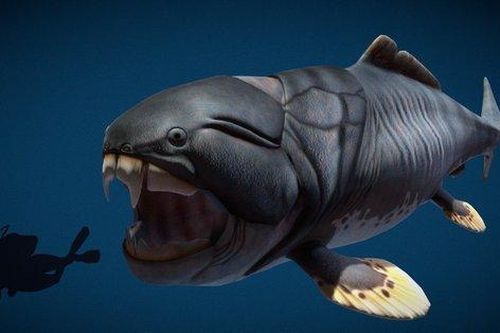 Phát hiện loài cá có thể cắn đứt đôi cơ thể của cá mập trắng lớn