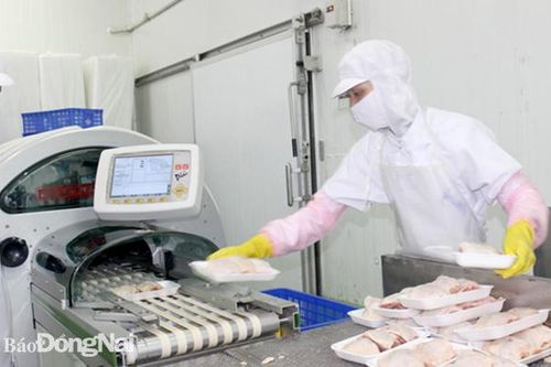 Đồng Nai phát triển chăn nuôi công nghiệp