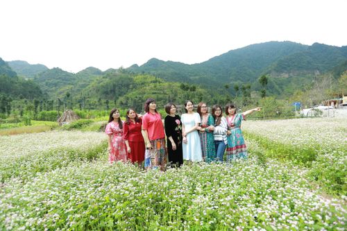Hà Giang: Du khách cảnh giác với nạn lừa đảo 'đặt phòng ảo' mùa lễ hội