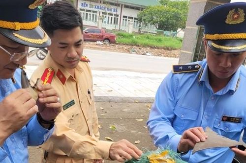 Quảng Ninh: Phát hiện lô hàng lậu là vây cá mập