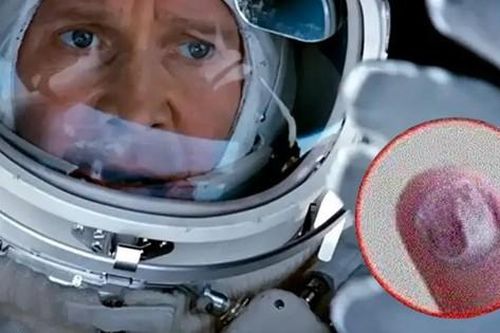 Vì sao phi hành gia từng phải 'rút hết móng tay' trước khi bước vào vũ trụ?