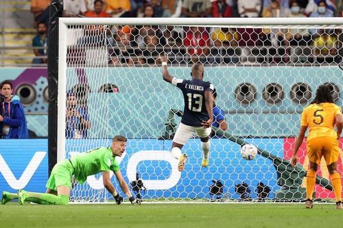 Ecuador và Hà Lan chia điểm, chủ nhà Qatar bị loại