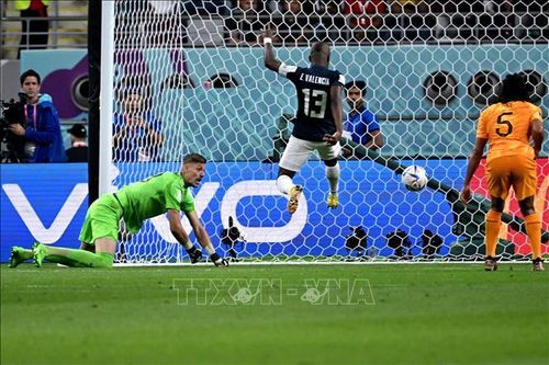 Bảng A - Hà Lan chia điểm với Ecuador