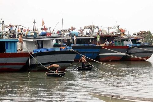 Hướng đến những cảng cá 'xanh' ven biển