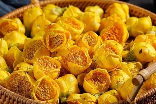 Loại cây khi xưa bị chặt phá để làm rẫy, nay thành đặc sản, hoa giá lên đến 20 triệu/kg