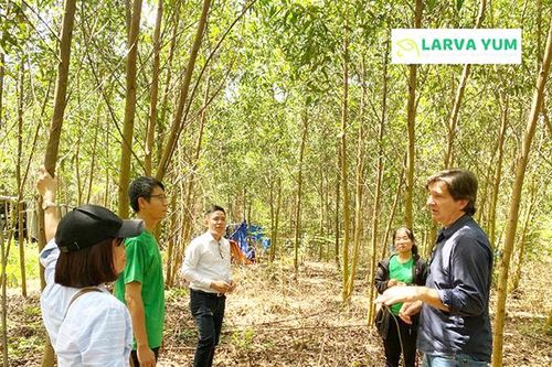 Khi hạnh phúc là sự cho đi
